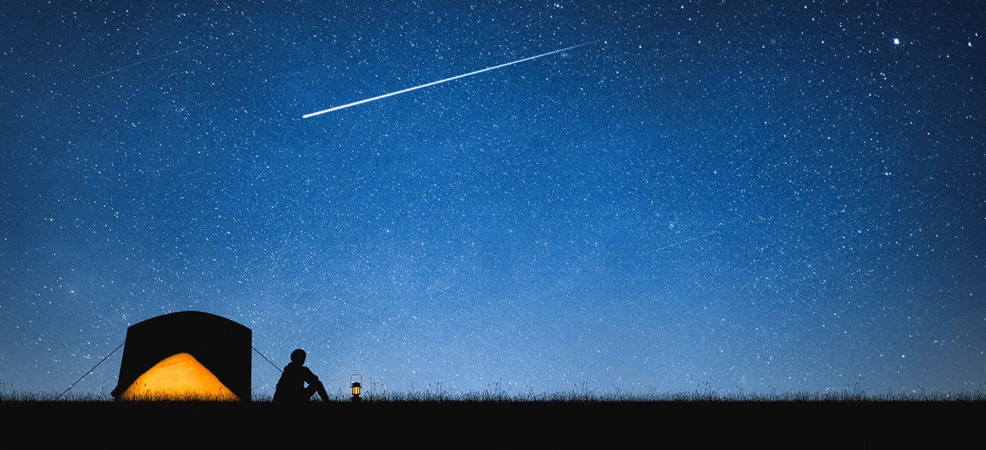 無料動画を楽しもう！